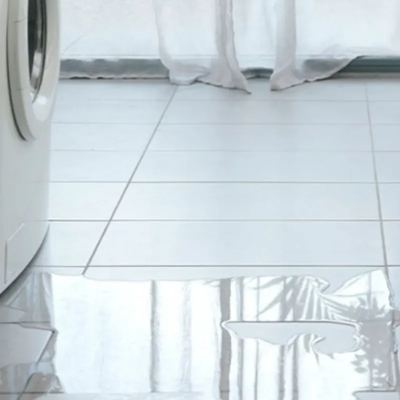 Appliance Leak Cleanup in Vernon Hills, IL
