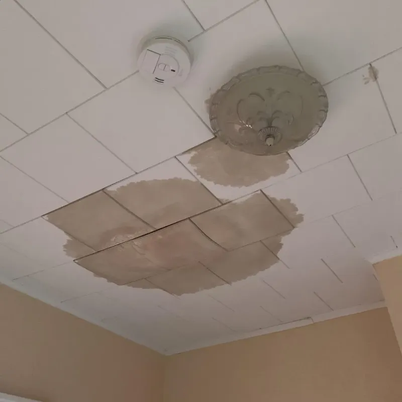 Ceiling Water Damage Repair in Vernon Hills, IL