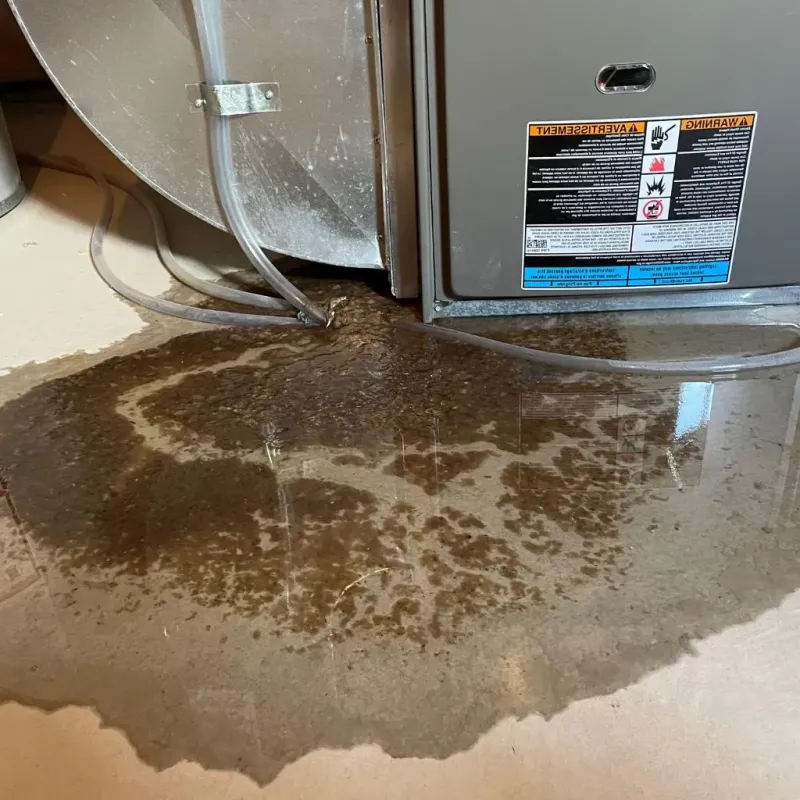 Pipe Burst and Leak Restoration in Vernon Hills, IL